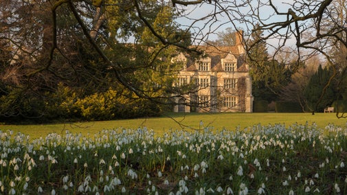 Snowdrops in the foreground of Anglesey Abbey in Cambridgeshire